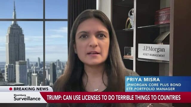 JPM's Misra: Market at Plateau of Uncertainty on Tariffs