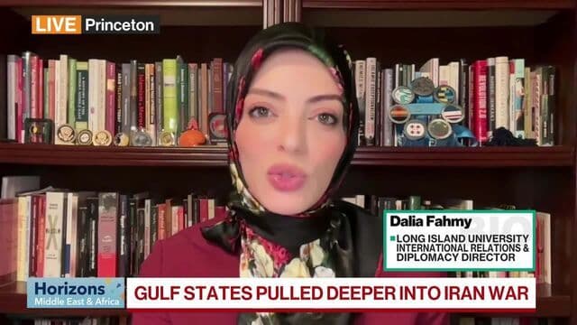 Fahmy: GCC Pulled Into Conflict They Didn't Agree to