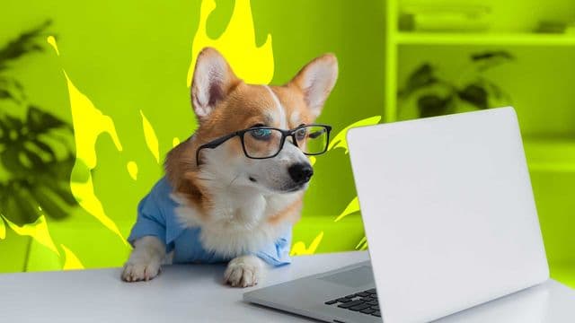 Megaport hits record growth in H1 FY26