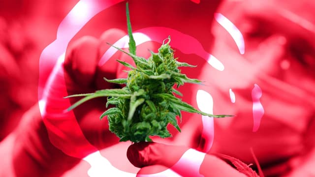 Vitura Health signs major MedReleaf distribution deal