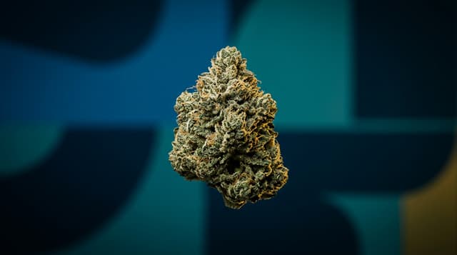 Canopy Growth narrows annual losses and shifts to net cash position in FY2026