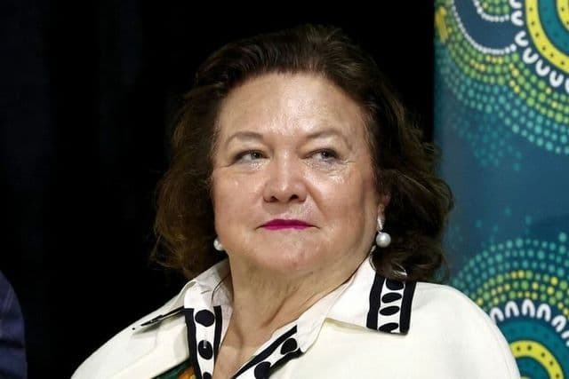 Gina Rinehart expands mining empire to Saudi Arabia with gold exploration deal