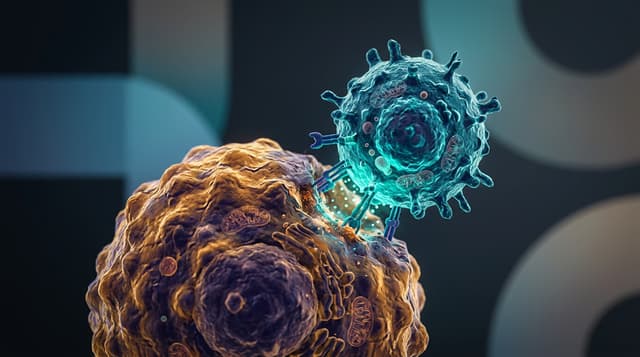 Innate Pharma reports 2025 financial results amid strategic restructuring and pipeline realignment