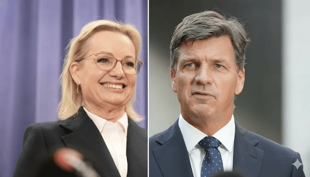 Sussan Ley quits politics after leadership defeat