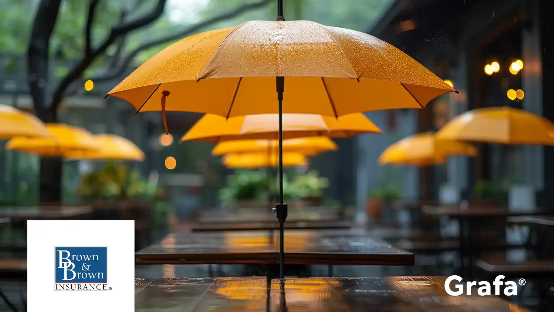 Brown & Brown primary media