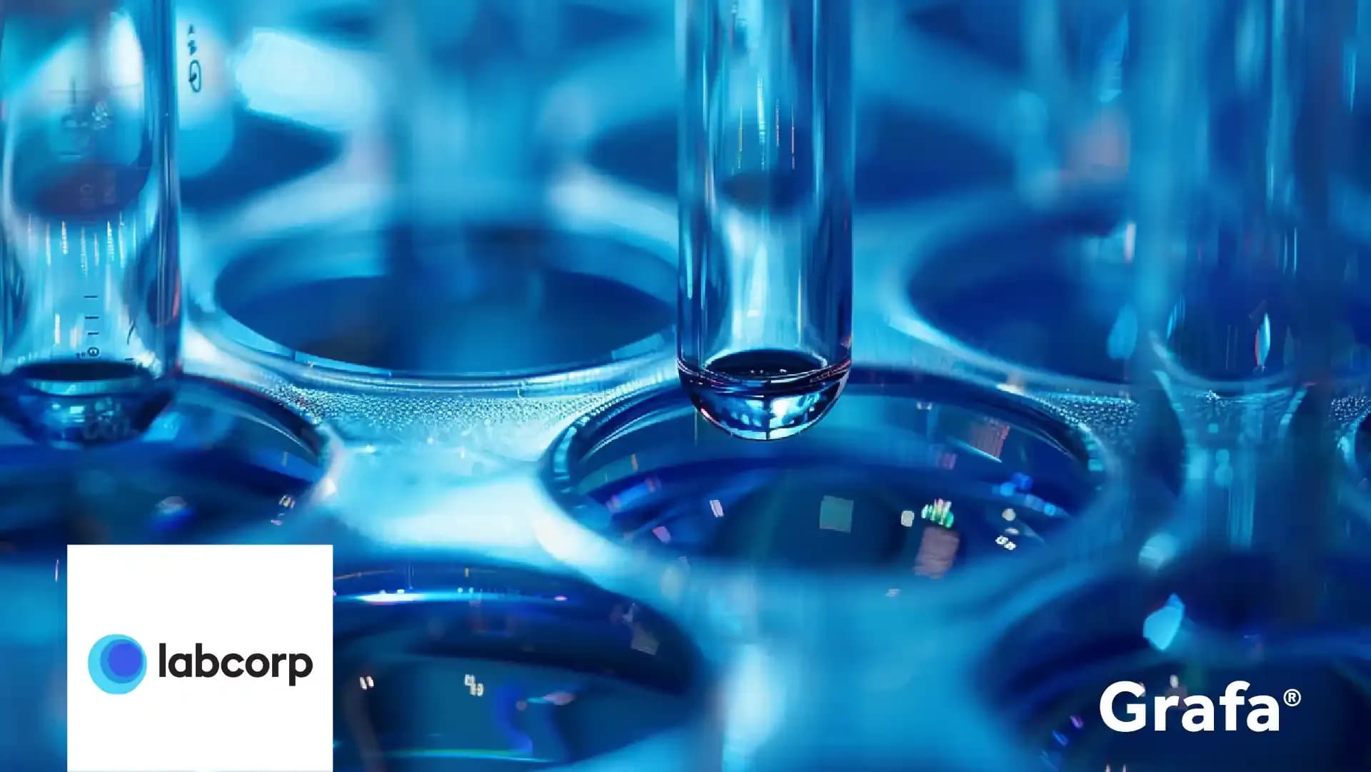 Laboratory of America primary media