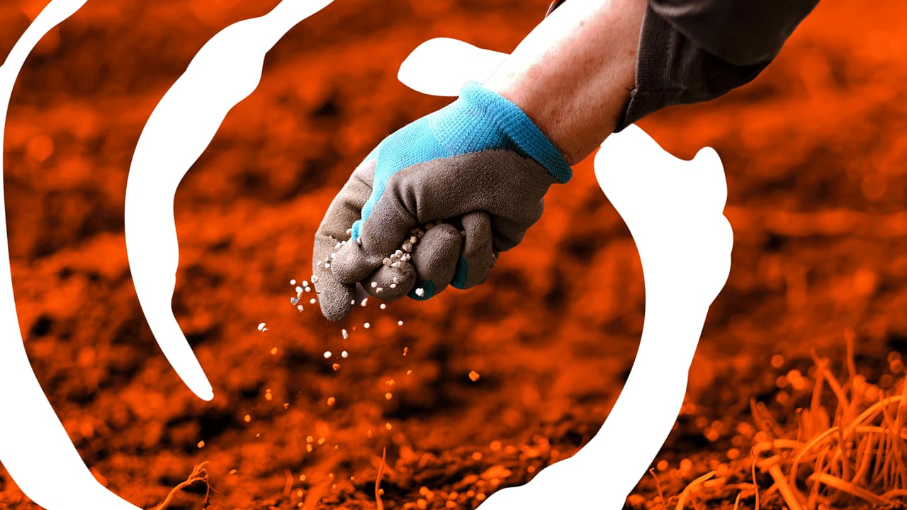 RLF AgTech appoints Andrew Hunter as CFO