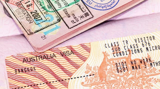 Taylor to mandate social media visa checks