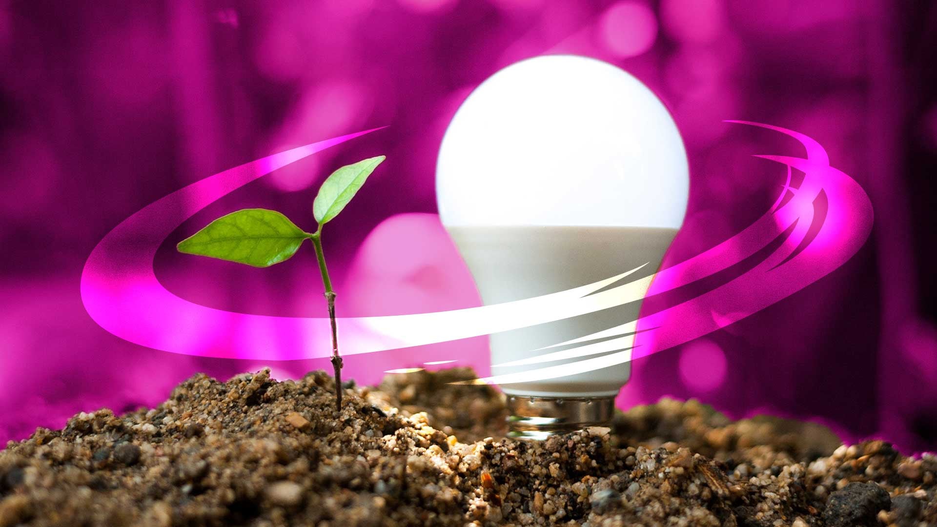 Woodside Energy takes control of major Texas ammonia plant