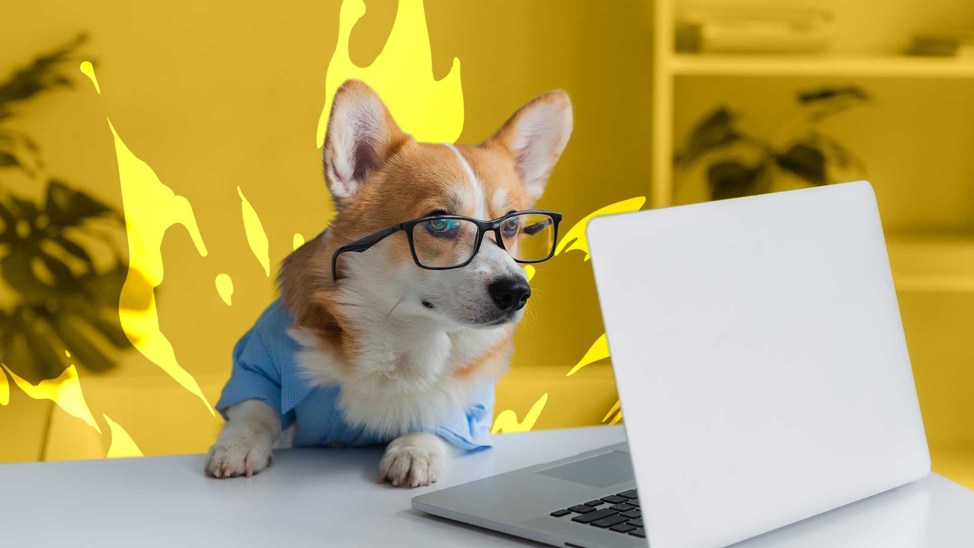 Powerhouse Ventures teams up with GlobalDots to launch new tech fund