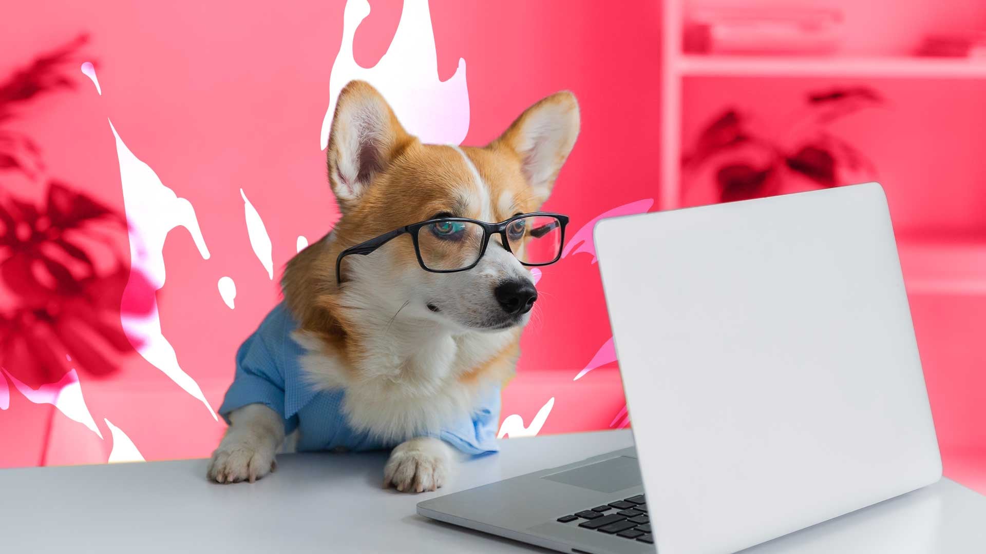 Unith advances enterprise strategy with ISO milestone and $2m funding