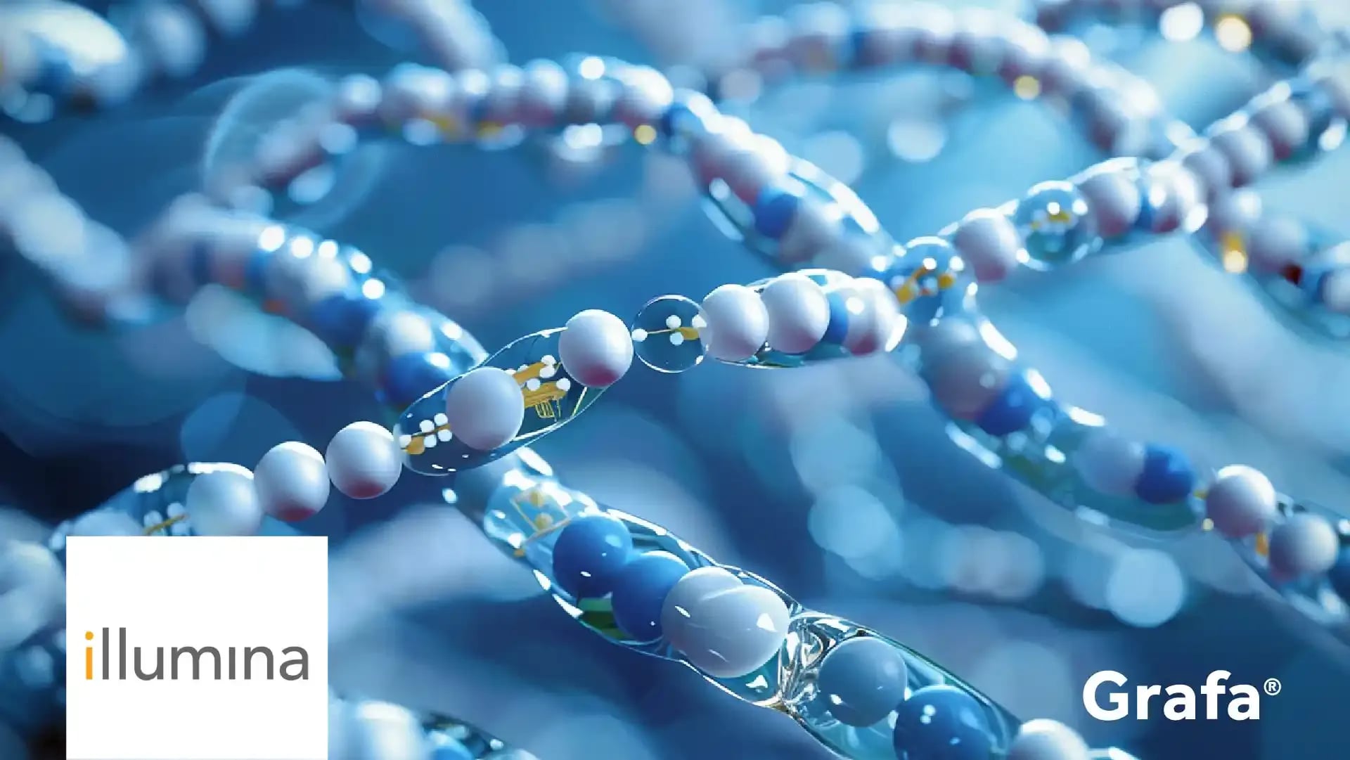 Illumina primary media