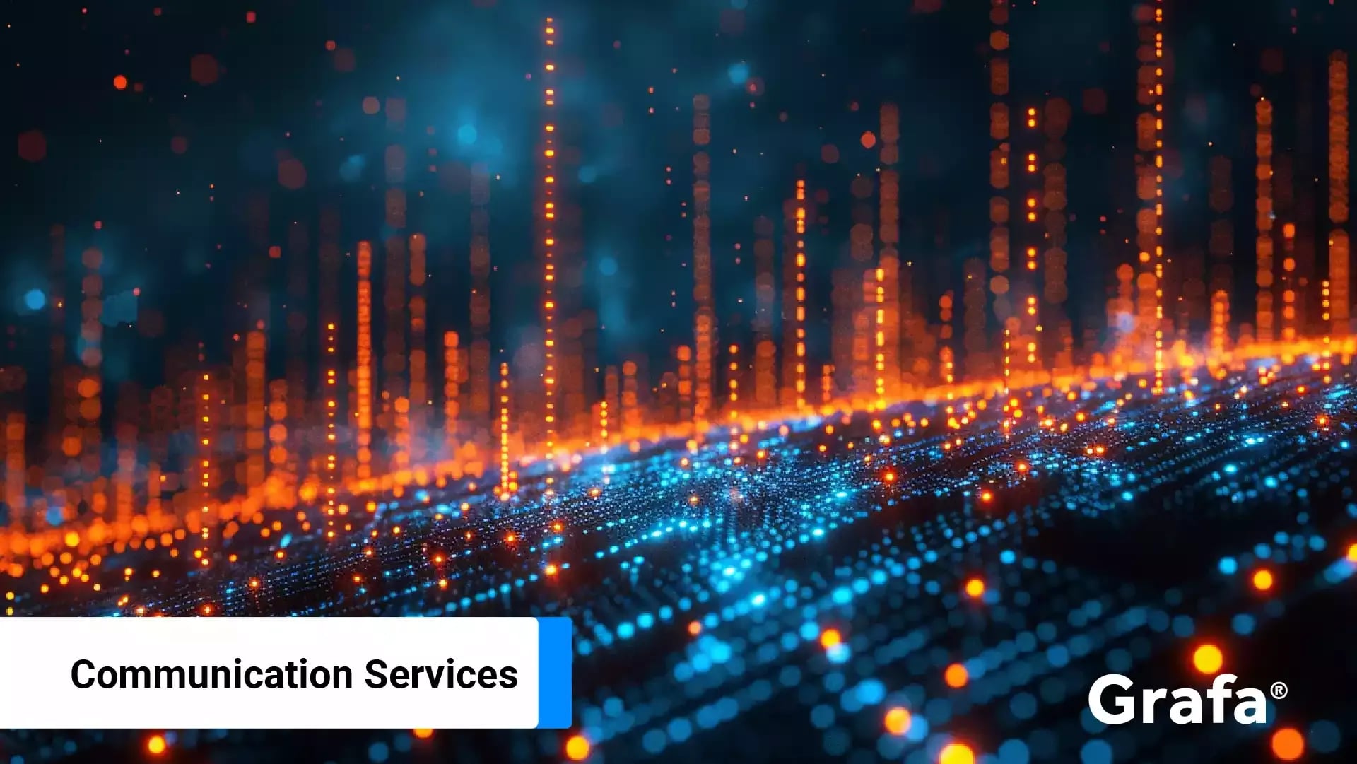 Snail  primary media