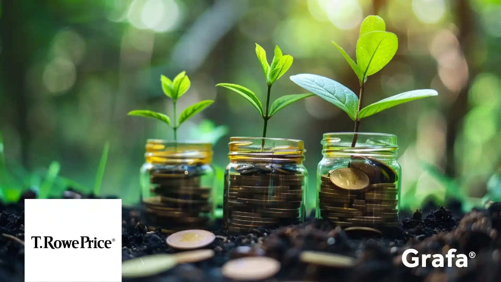 T. Rowe Price Group primary media