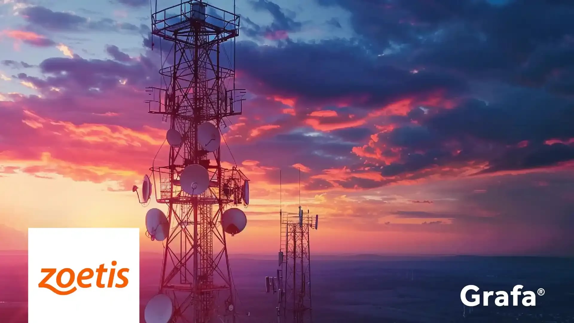 Telefonica Brasil  primary media