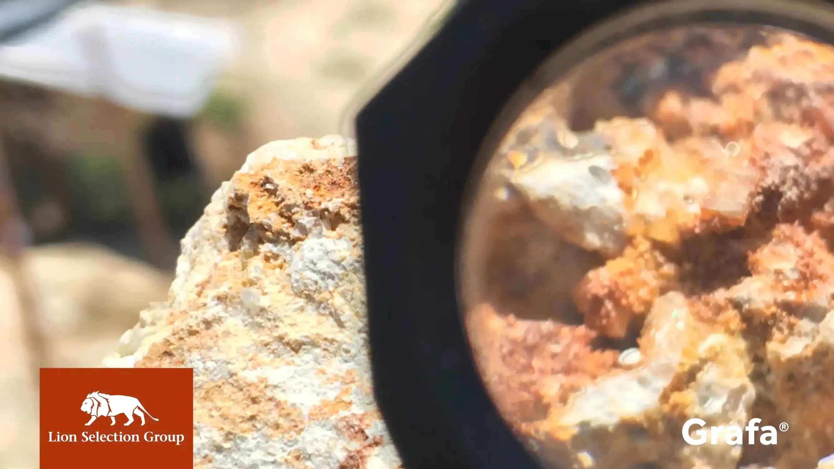 Lion Selection Group primary media