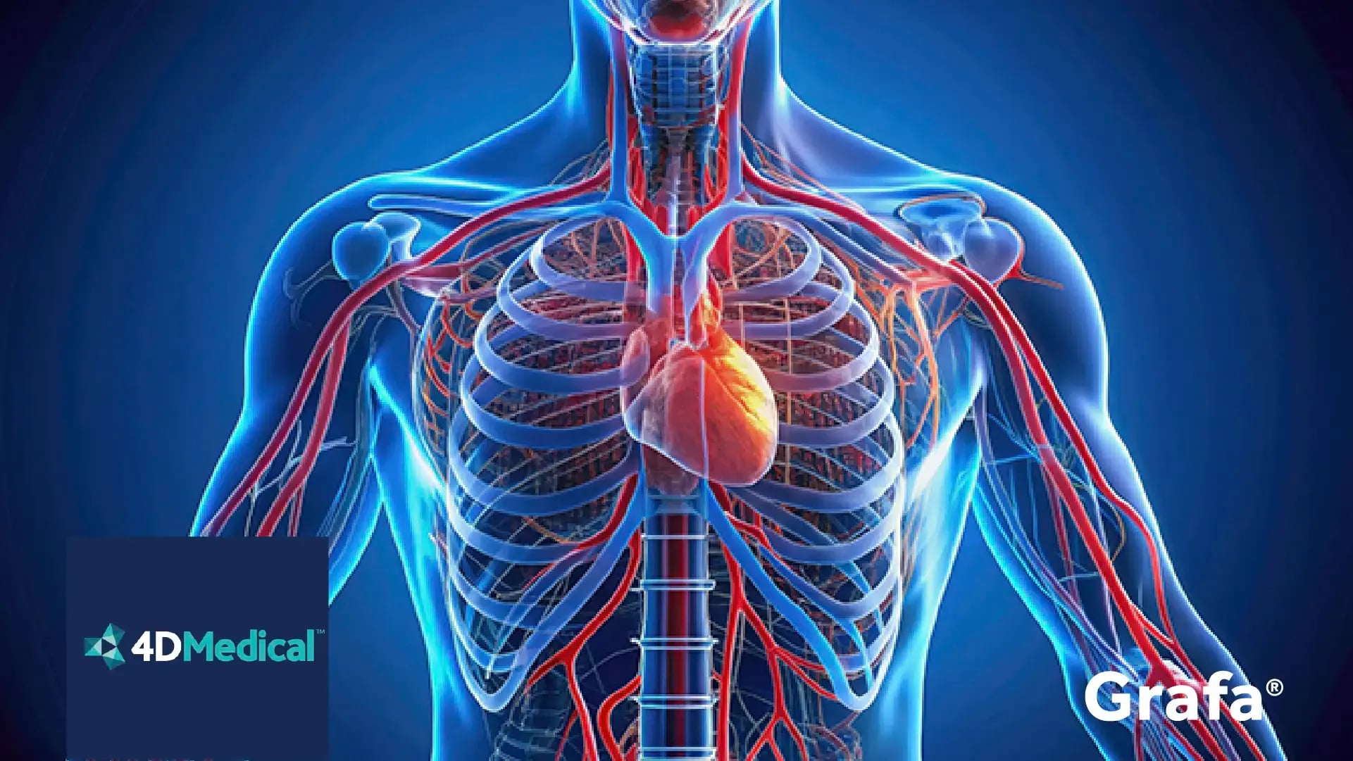 4Dmedical primary media