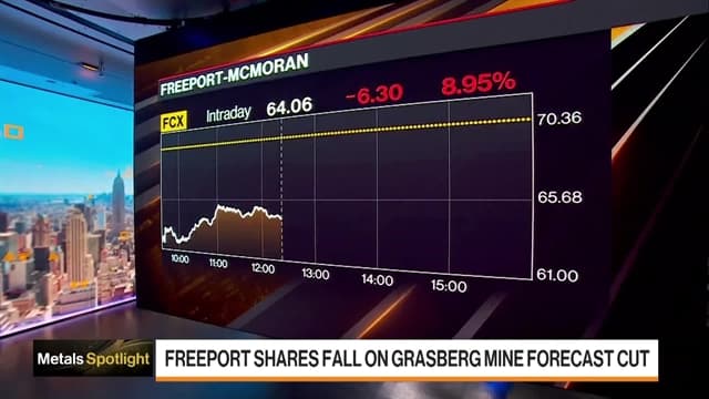 Freeport Shares Slide as Indonesian Mine Restart Faces Delay
