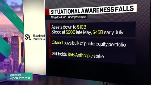 Situational Awareness Losses Raise AI Fears