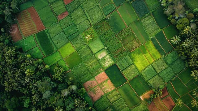 Nufarm shares rise on strong earnings and deleveraging