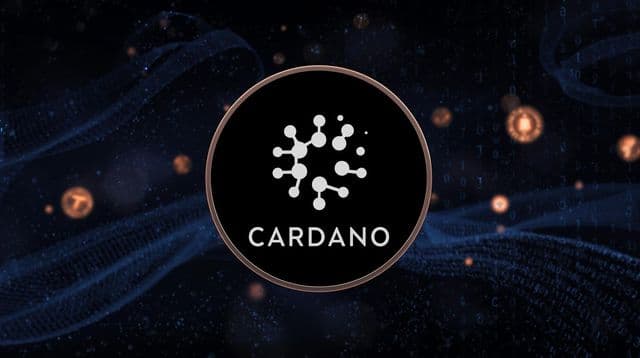 Cardano whales accumulate 220M ADA