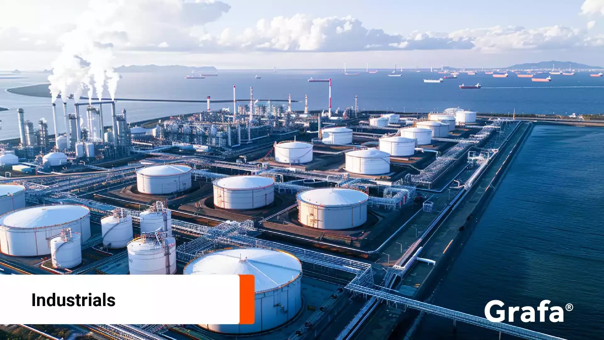 Lilium primary media