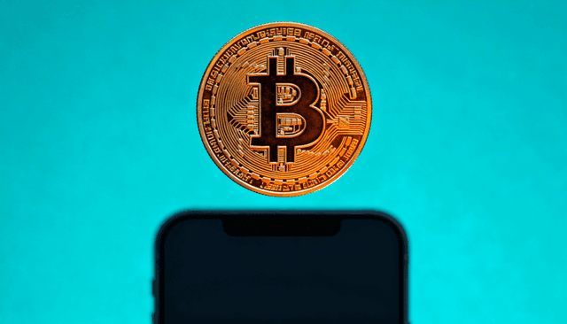 Bitcoin dominates as crypto treasury inflows slow